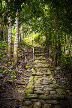 old inka trail, tayronaka, tayrona national park, tayrona, don diego river, magdalena, kogui, sierra nevada, colombia, south america, latin america