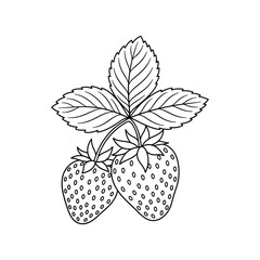 Strawberry fruit line art icon with leaves botanical outline vector illustration