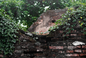 Overgrown Ancient Brick Wall Ruins with Green Vines