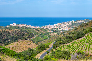 View of hills and vineyards of Banyuls AOP, grapes plants, between Pyrenees mountains and...