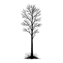 Tall tree stands alone in a simple setting