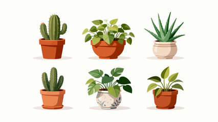 Obraz premium Six potted plants in various styles
