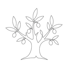 Obraz premium Hand Drawn Olive Tree Sketch - Nature Coloring Page Illustration
