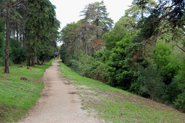 Fototapeta premium Parque florestal de Monsanto