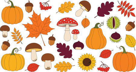 Autumn fall vector illustration set featuring orange pumpkins colorful maple leaves mushrooms acorns chestnuts sunflower and rowan berries isolated on white background for harvest © Aminul