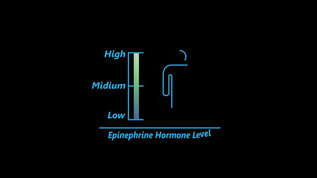 Epinephrine Hormonal health good level on high measure scale. Instrument scale with silhouette of man icon animation on black background. 4k video