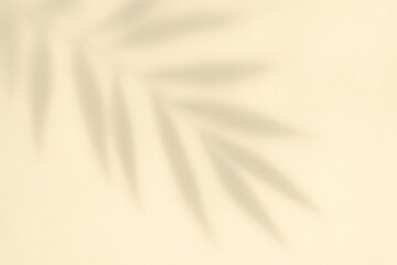 Obraz premium Warm Beige Background with Soft Palm Leaf Shadow and Copy Space