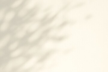 Obraz premium Minimal Warm White Background with Soft Blurred Leaf Shadows