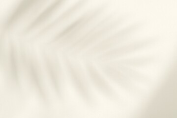 Obraz premium Soft Palm Leaf Shadow on Cream Background with Diffused Sunlight