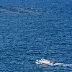 Fishing boats at sea. Spain	
