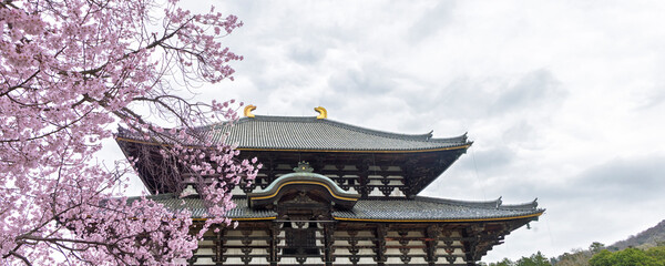 Panoramic view of Todai-ji Daibutsuden (Great Buddha Hall) in Nara, Honshu island in Japan
