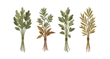 Fototapeta premium Collection of four stylized herb bunches tied with twine on a white background