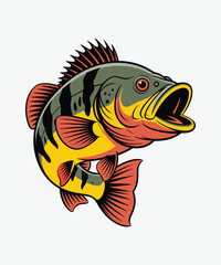 Fototapeta premium Peacock bass fish illustration vector logo design for fishing tournament sport hobby isolated on white background art