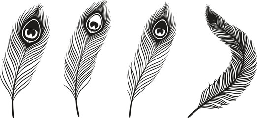 Peacock feather silhouette vector set, black and white decorative plume illustrations for nature design, artistic content, and ornamental artwork © Masuduzzaman