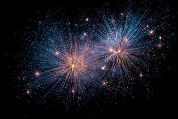 Two beautiful fireworks explode against a dark night sky