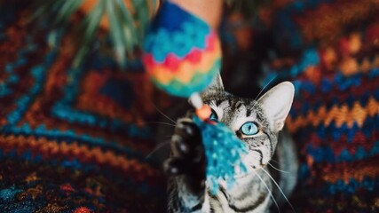 Closemedium shot of a cat batting at a colorful fabric toy crafted from recycled textiles emphasizing ecoconscious pet entertainment