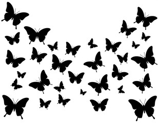Black butterfly silhouettes scattered on a white background, suggesting flight and freedom. The delicate insects appear to dance
