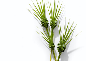 Palm Sunday Palm Branches