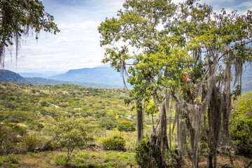 Fototapeta premium hiking the camino real from barichara to guane, trekking, outdoor, santander, colombia, latin ameria, south america