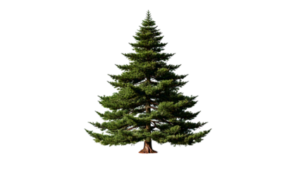  Stylized green pine tree with layered branches and a dark shadow, isolated on a transparent 