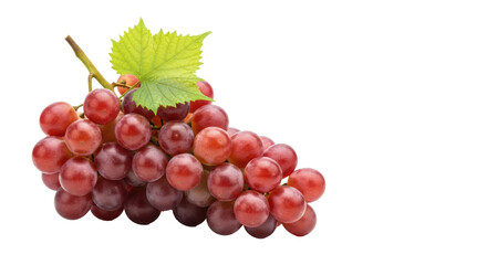 Fototapeta premium A plump bunch of red globe grapes with translucent purple-red skins and a green vine leaf, isolated on a stark white background with copy space, Concept of natural health