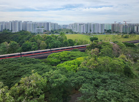A train passed by the Sun Plaza Park, Tampines heartland district during bloom season - Singapore.