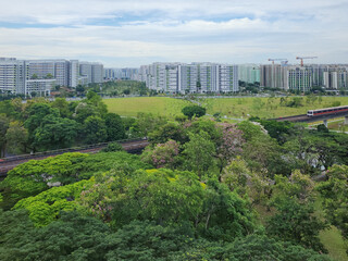 Fototapeta premium A train passed by the Sun Plaza Park, Tampines heartland district during bloom season - Singapore.