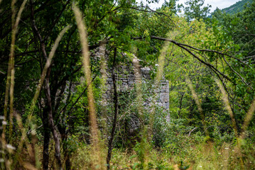 Overgrown derelict ancient stone house in Lika region, Croatia