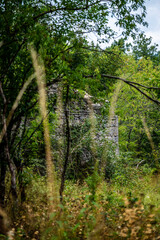 Overgrown derelict ancient stone house in Lika region, Croatia