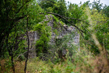 Overgrown derelict ancient stone house in Lika region, Croatia