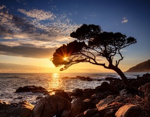 silhouetted tree basks in dramatic crepuscular rays over rocky coast