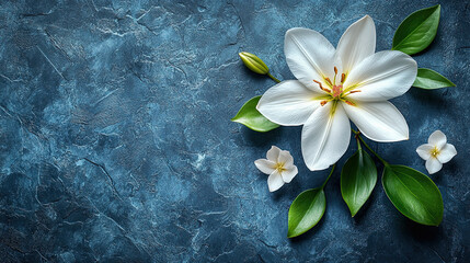 Concept mourning. White lily flowers on dark background. We remember, we mourn. Single white lily lit by surrounding candlelight on wet reflective surface,