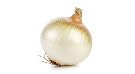 Isolated White Onion with Detailed Texture and Natural Roots on White Background