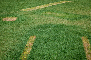 Lawn with abstract markings