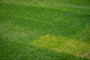 Lawn with abstract markings