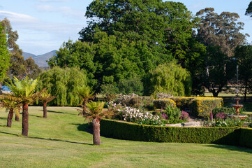 Structured garden layout featuring clipped hedges, ornamental plantings, tree ferns and open lawn. Example of historic garden design used in planning, reference and outdoor space concepts.