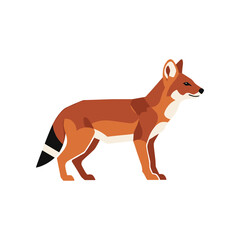 Maned Wolf Illustration A Detailed Depiction of the South American Canid.