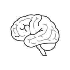 Stylized Brain Illustration Anatomical Representation of Human Intelligence.
