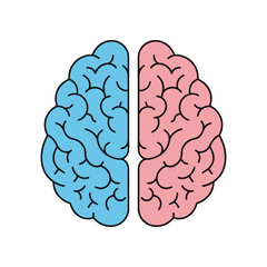 Stylized illustration of a human brain divided into two distinct hemispheres.