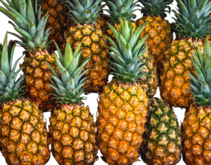 A vibrant collection of ripe pineapples, showcasing their spiky skin and leafy crowns