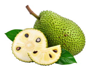 Ripe jackfruit, cut open with segment and leaves against a black background