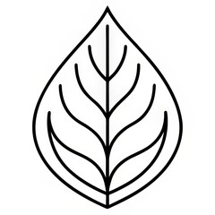 eco leaf outline nature icon