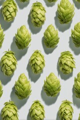 Obraz premium Symmetrical Arrangement of Isolated Hops on Seamless Background