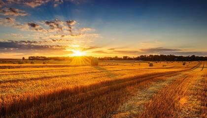 Golden Sunset Over Harvested Fields