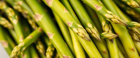 Fototapeta premium Fresh green asparagus spears, tightly bundled, vegetable, tasty
