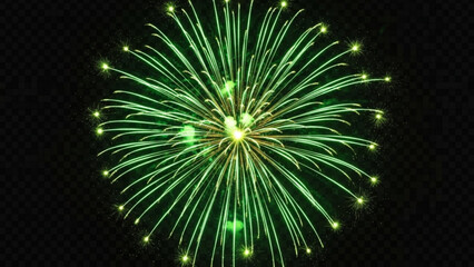 Fototapeta premium Vibrant green firework exploding in the night sky with bright streaks and sparks