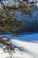 Der Blindensee im Schwarzwald im Dezember