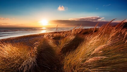 Reeds At Sunset Coast