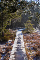 holzsteg im winter mit leichtem schnee bedeckt.