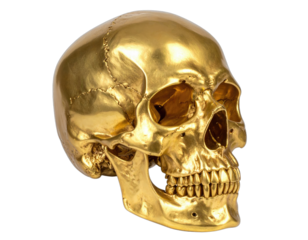 Gleaming golden skull, intricately detailed, with emphasis on the teeth, eye sockets, and surface